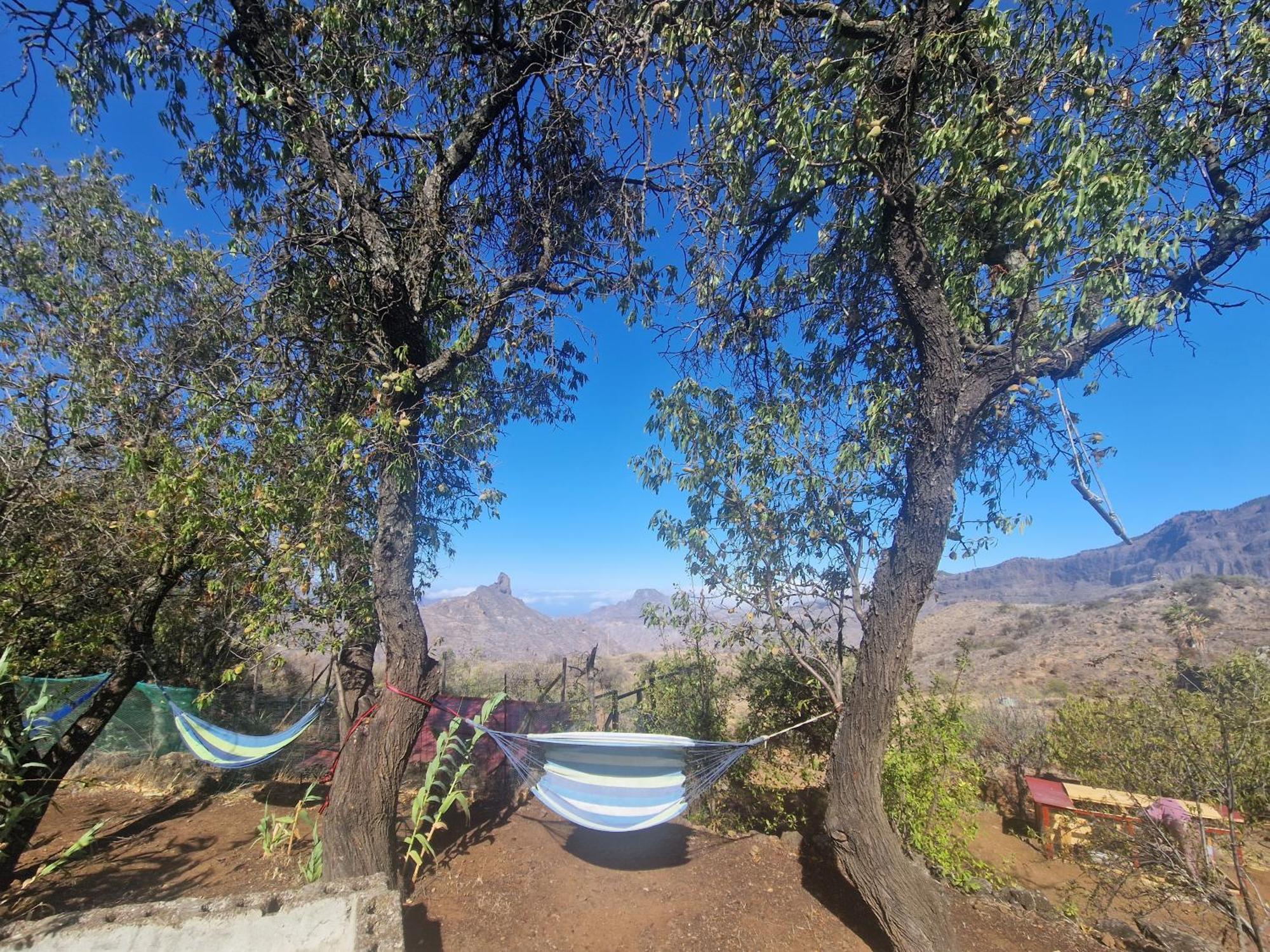 Finca La Isa By Rose Casas Rural Tejeda  Eksteriør billede
